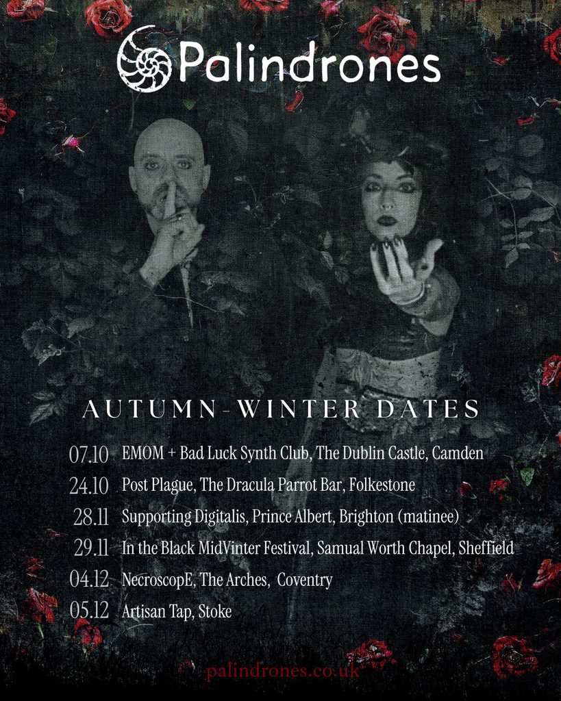 Gig listings - new insta size (4)